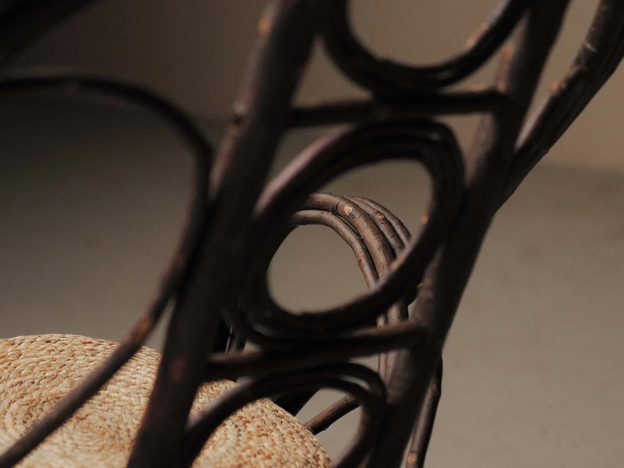 Fauteuil sculptural en bois courbé , Art Populaire, vers 1900
