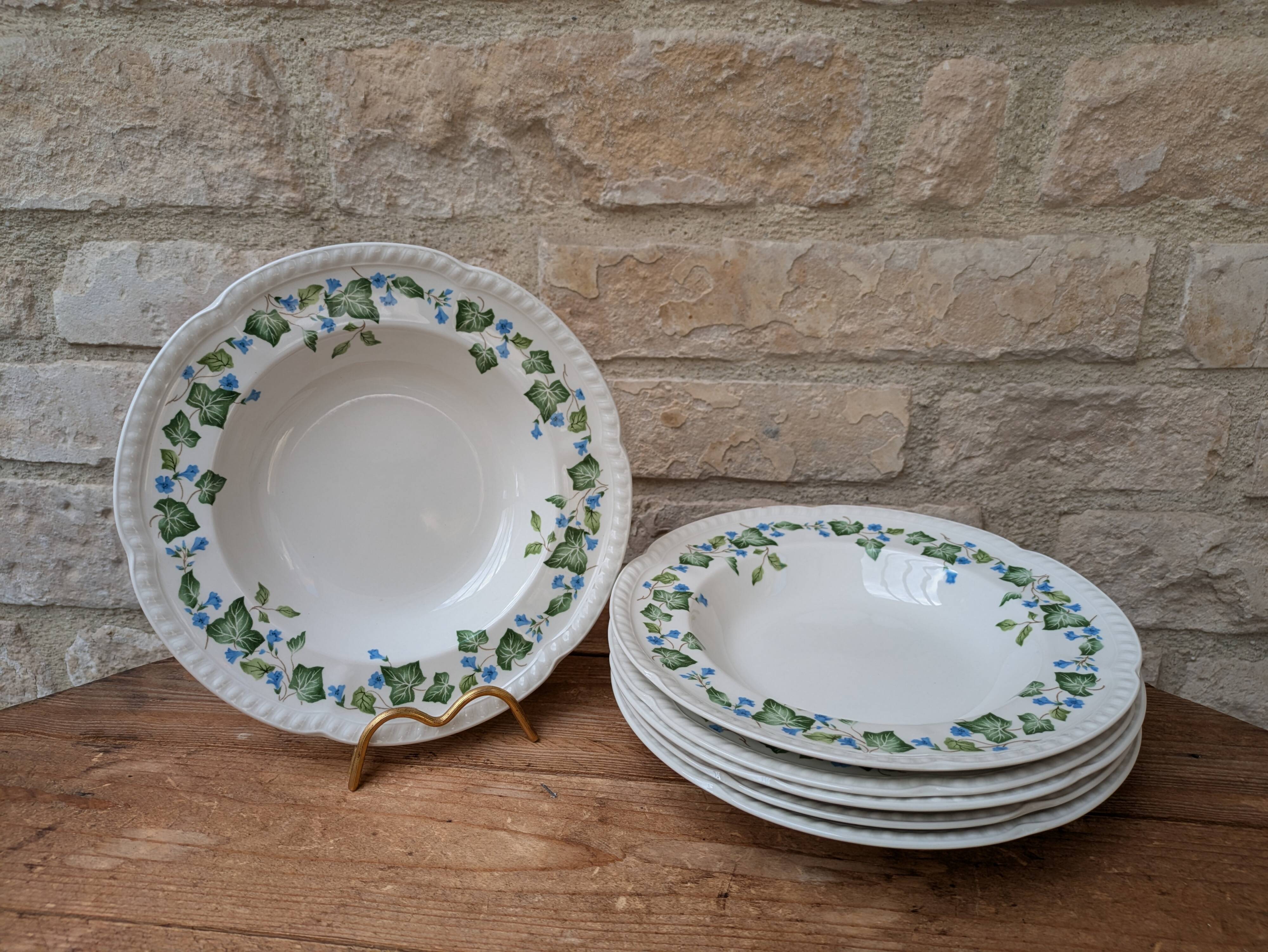 Johnson Brothers Set of 6 Ivy Leaf and Flower Blue Dinner Plates