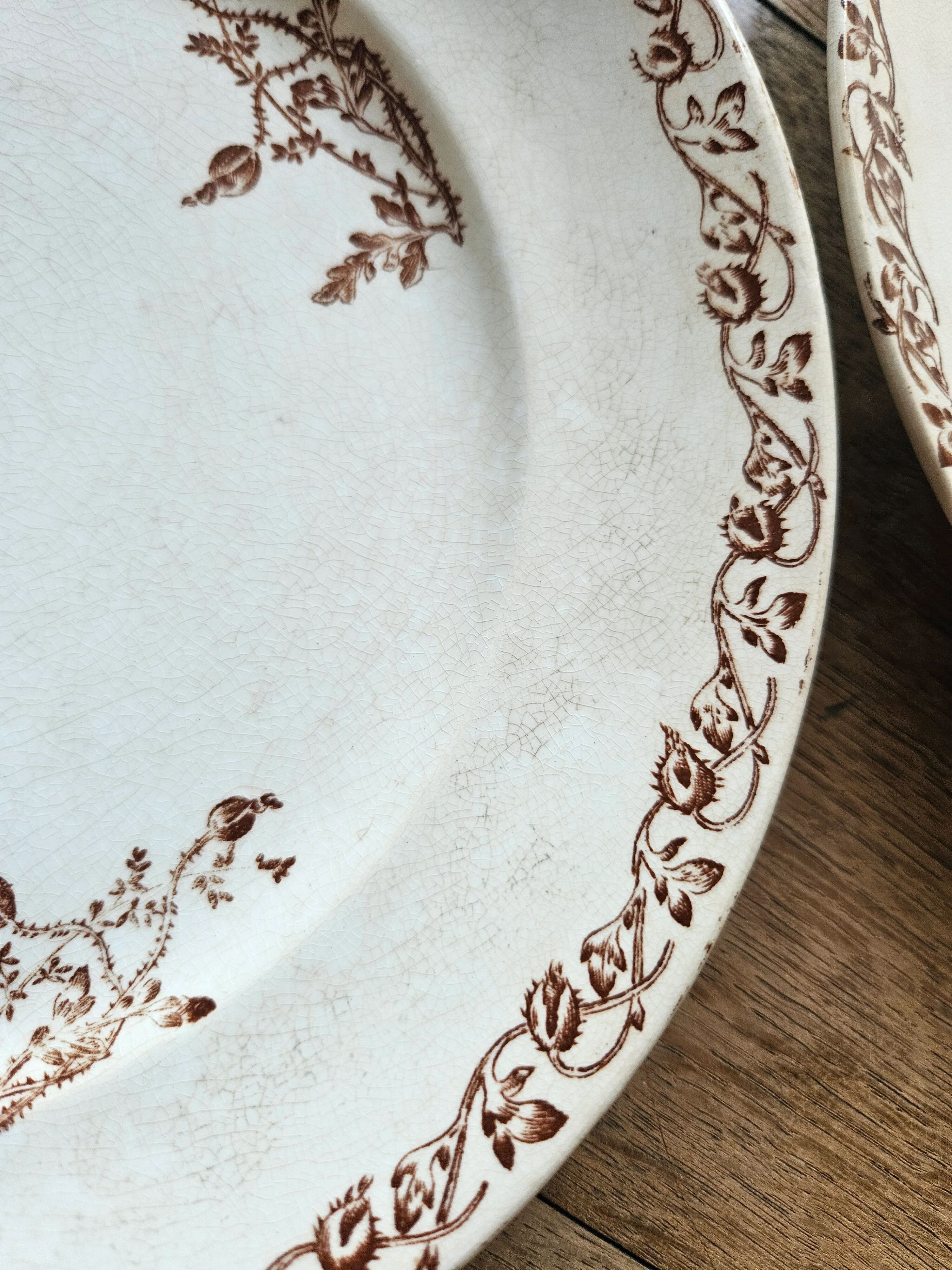 Flat plates, ironstone, poppies