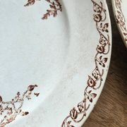 Flat plates, ironstone, poppies