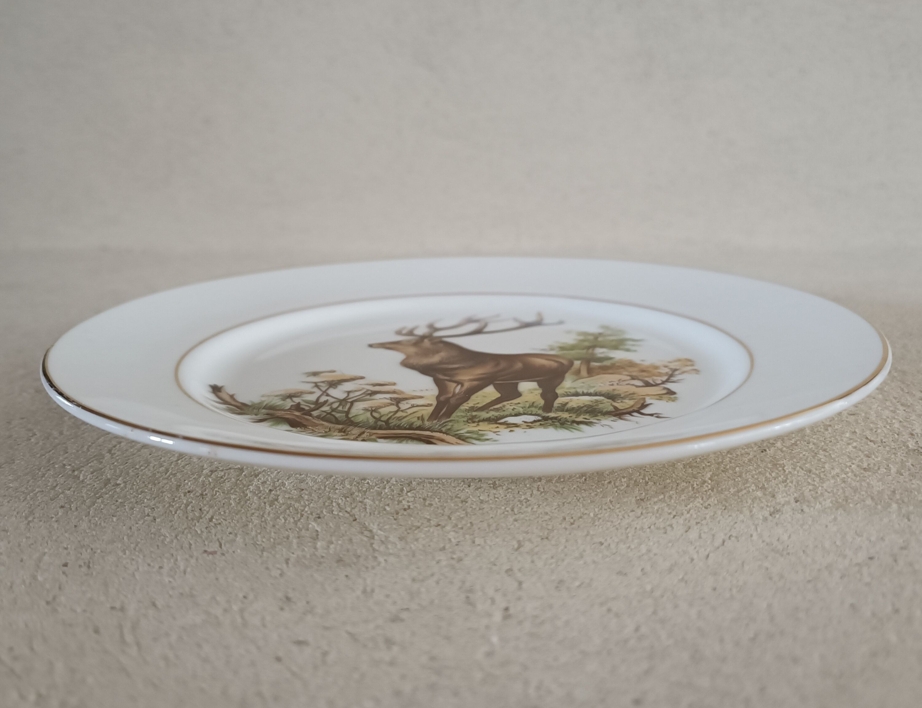 English porcelain plate