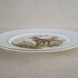 English porcelain plate