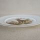 English porcelain plate