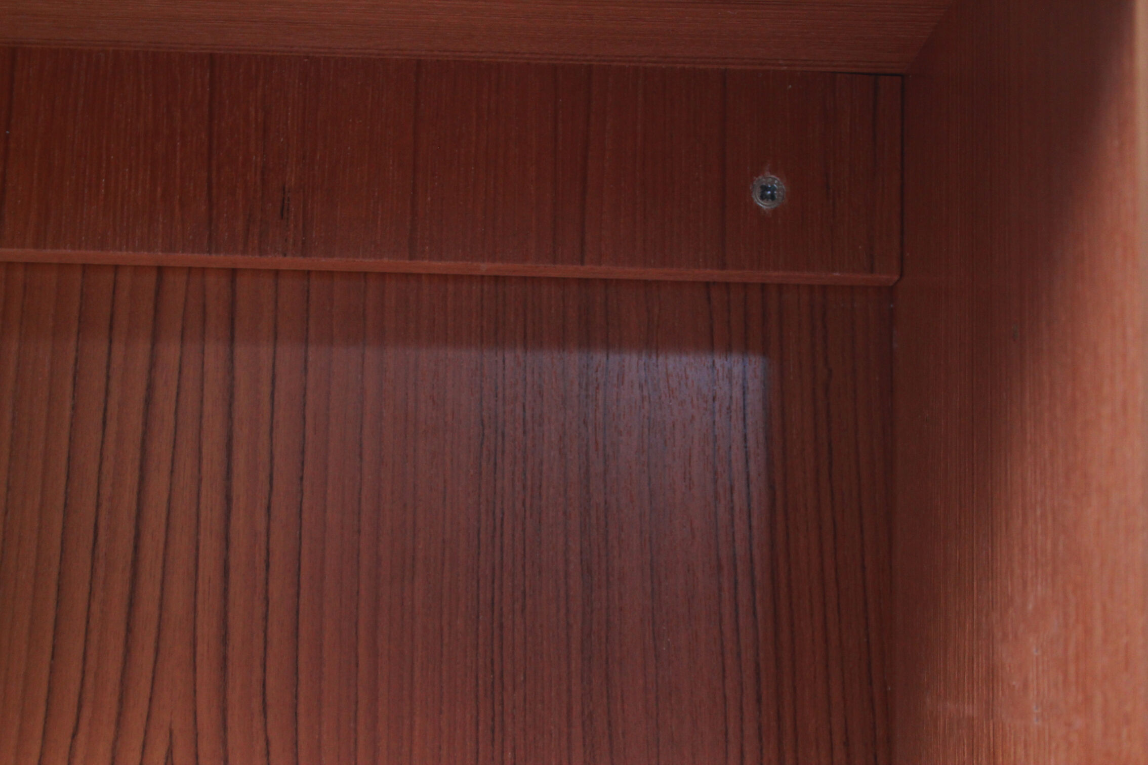 1960s showcase in teak