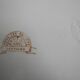 old French serving dish from Salins EC Terre Fer Nouvelles Galeries