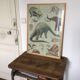 School desk