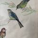Antique watercolor signed