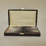 Set of 12 dessert knives Apollonox