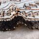 Beni Ourain Moroccan rug white - 190 x 338 cm