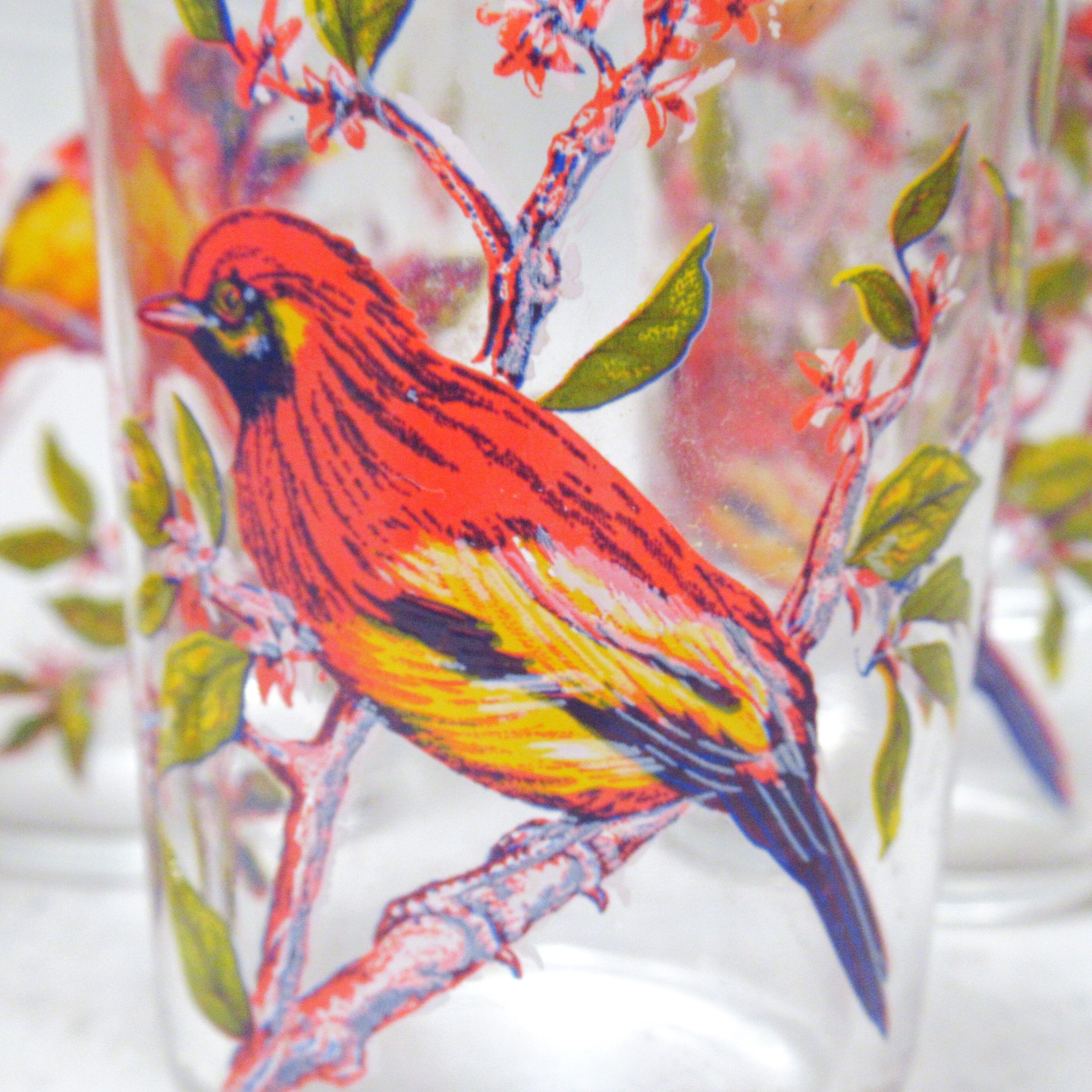 Set of six cups birds 50s