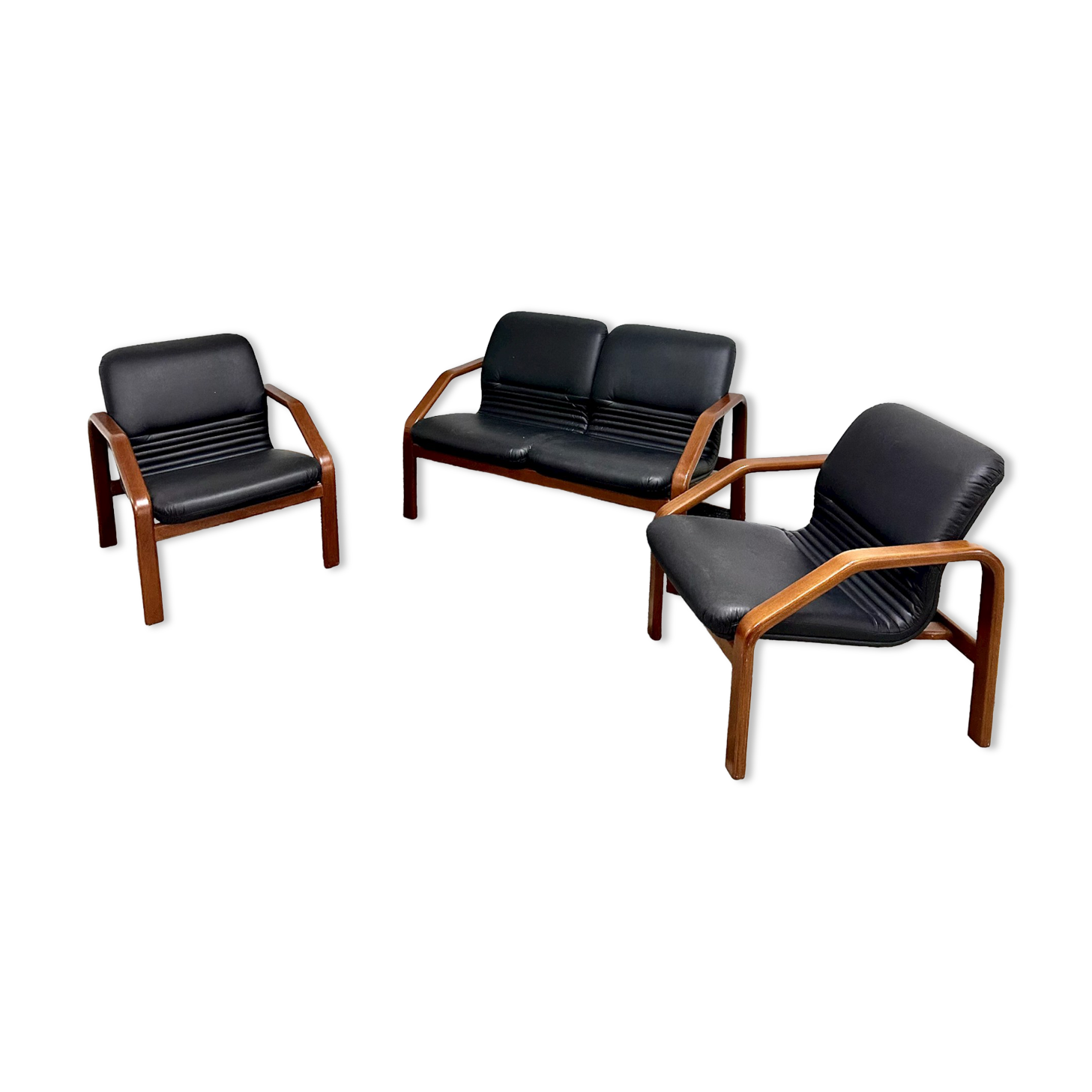 Design living room in black leather