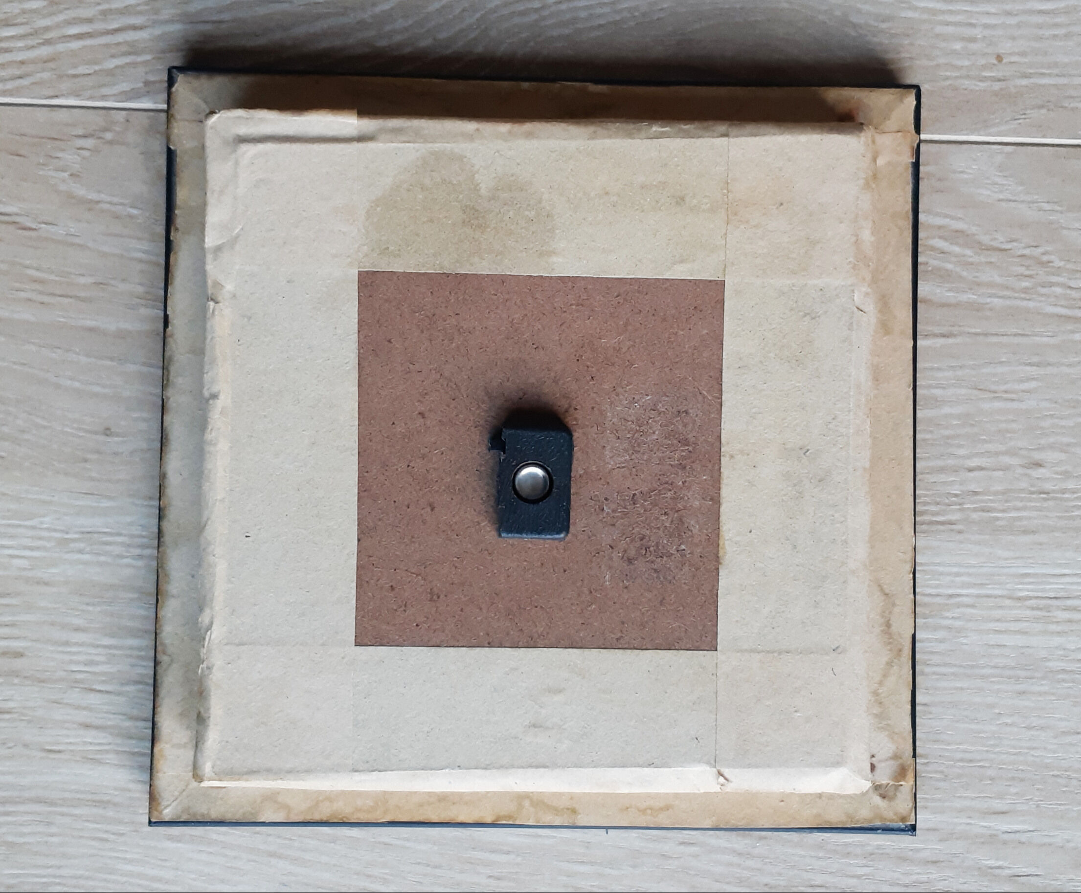 Naturalized butterfly under glass