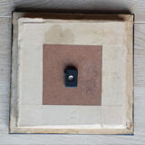 Naturalized butterfly under glass