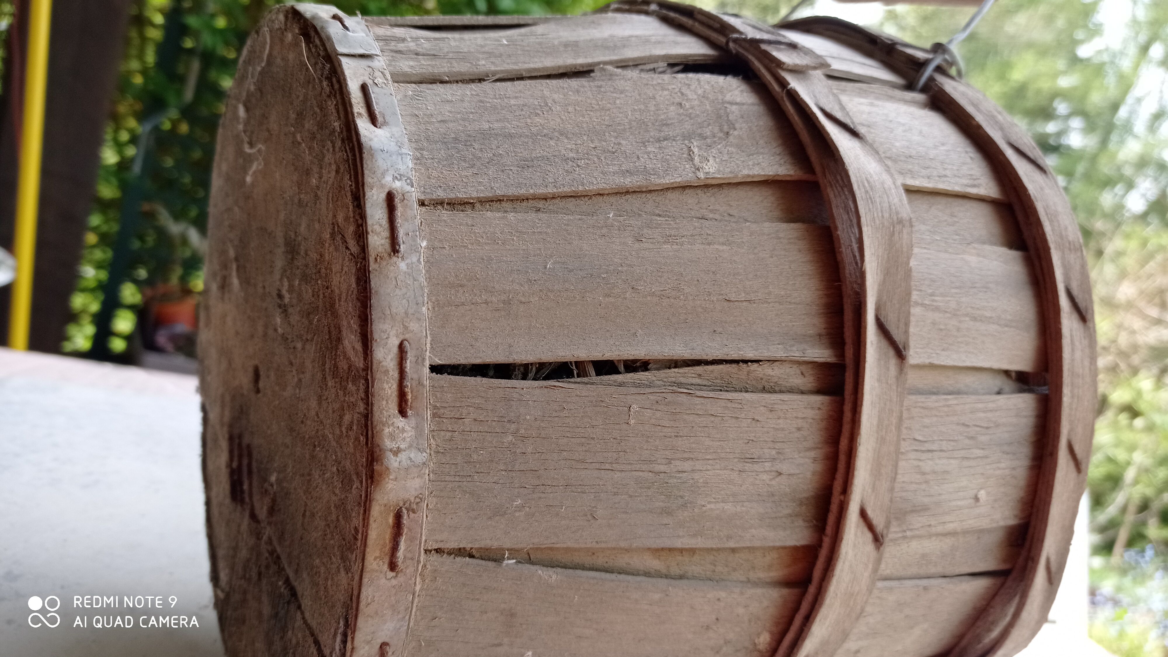 Lady Jeanne canister