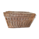 Wicker trunk