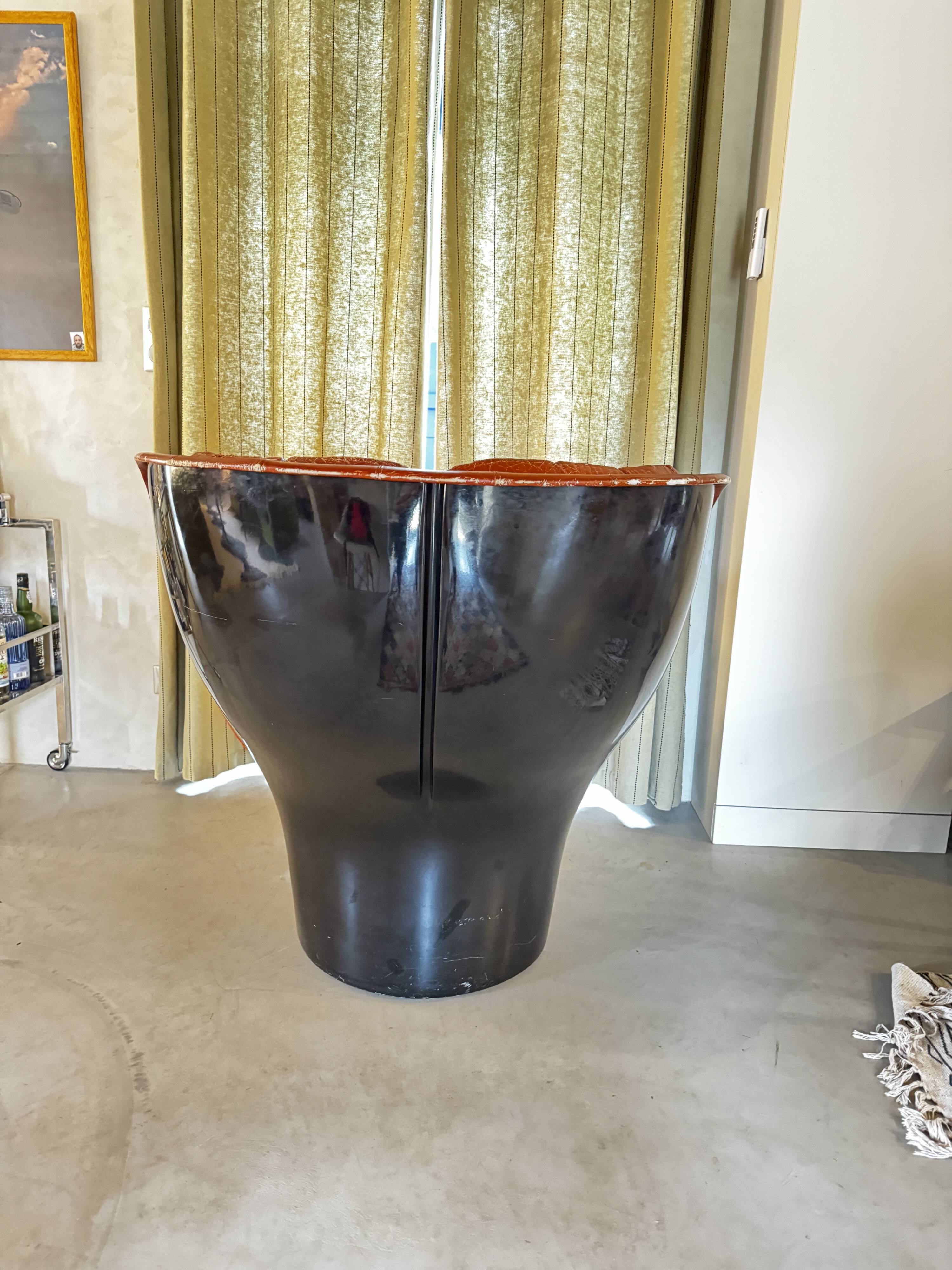 Elda armchair by Joe Colombo, black shell, brown leather