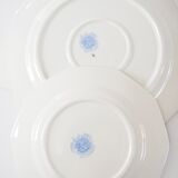 Dessert set with 6 plates and pie dish