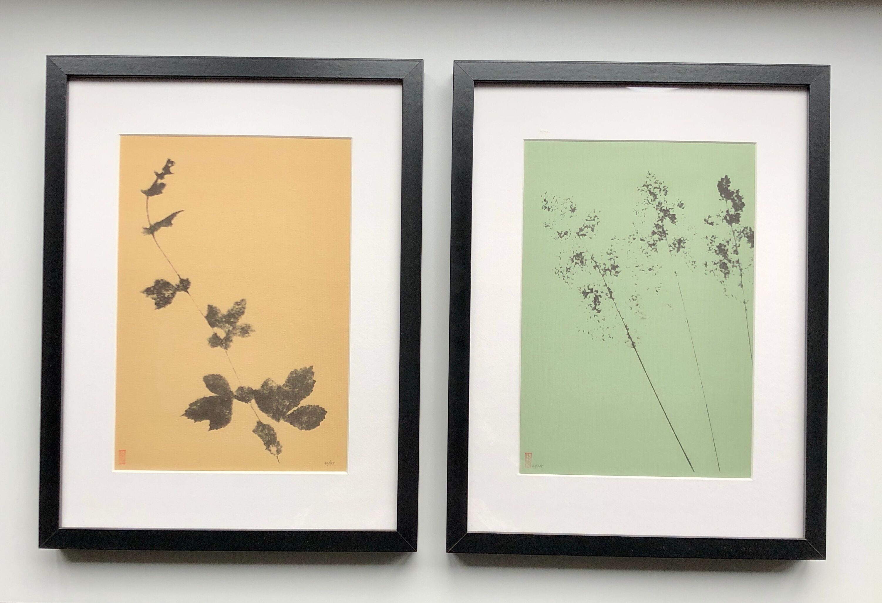 Framed lithograph - extract from the notebook "Les Natugraphies" - Albert de Visscher