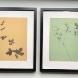 Framed lithograph - extract from the notebook "Les Natugraphies" - Albert de Visscher