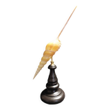 Cabinet of Curiosities tibia fusus shell on base