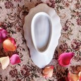 Shell shape dish