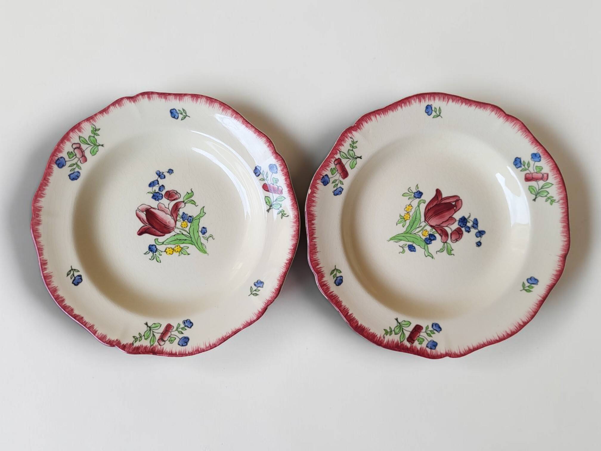 6 deep plates in Gien earthenware, Lorraine model