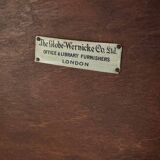 Antique Globe Wernicke Bookcase