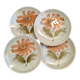 Dessert plates with flowers St Amand