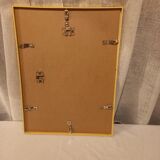 Framed botanical boards, under glass, gilded frame