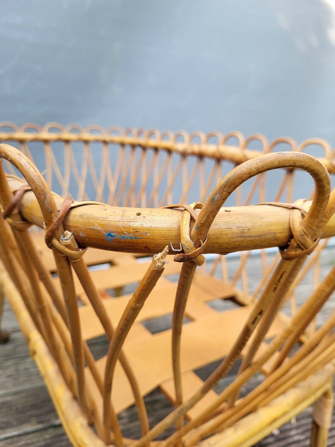 Nursery basket for green plants