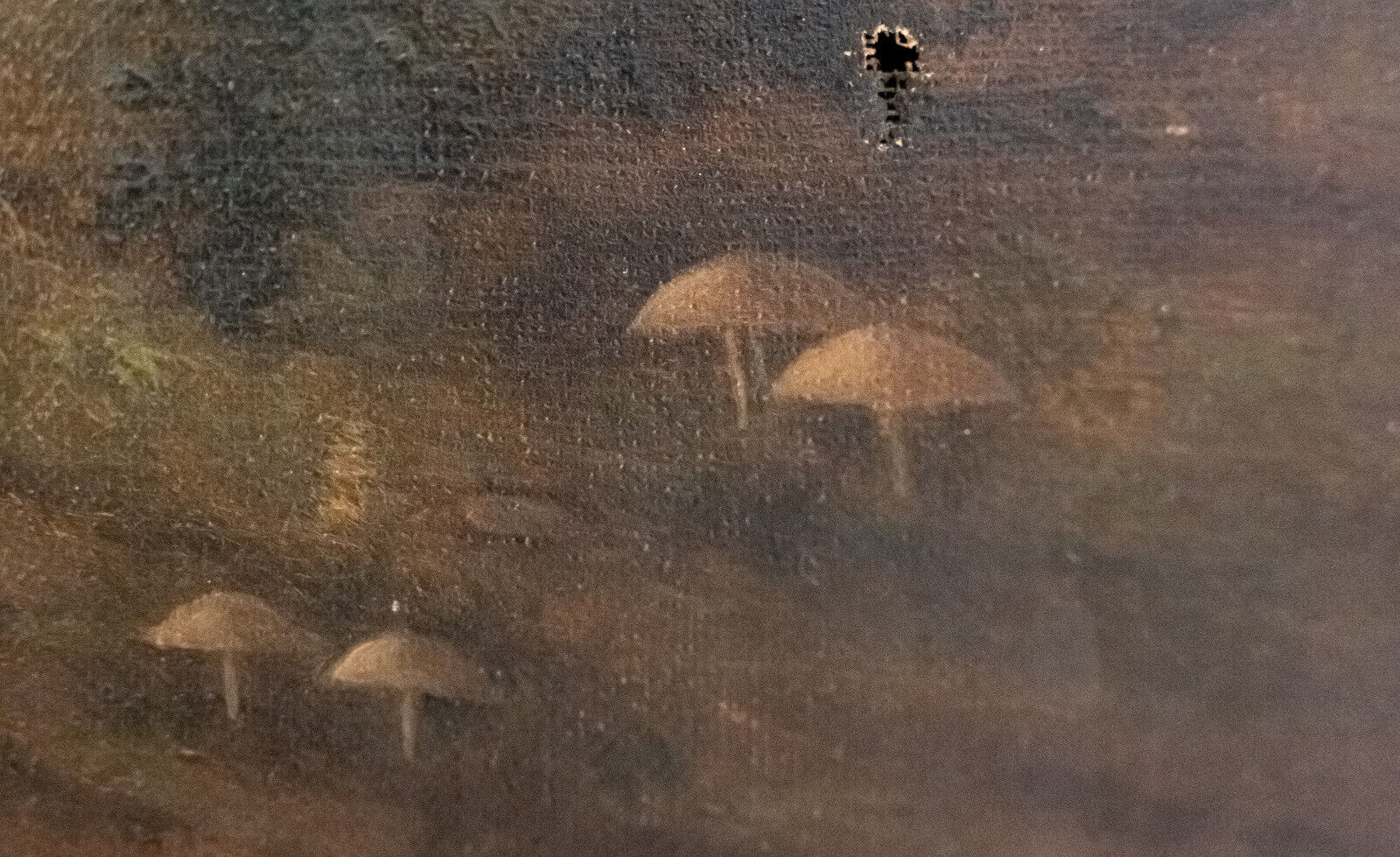 Oil on canvas undergrowth scene early twentieth century