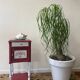 Vintage Lys Marble Wood Bedside Table