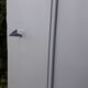 Pair of doors 242,5x116 of antique closet