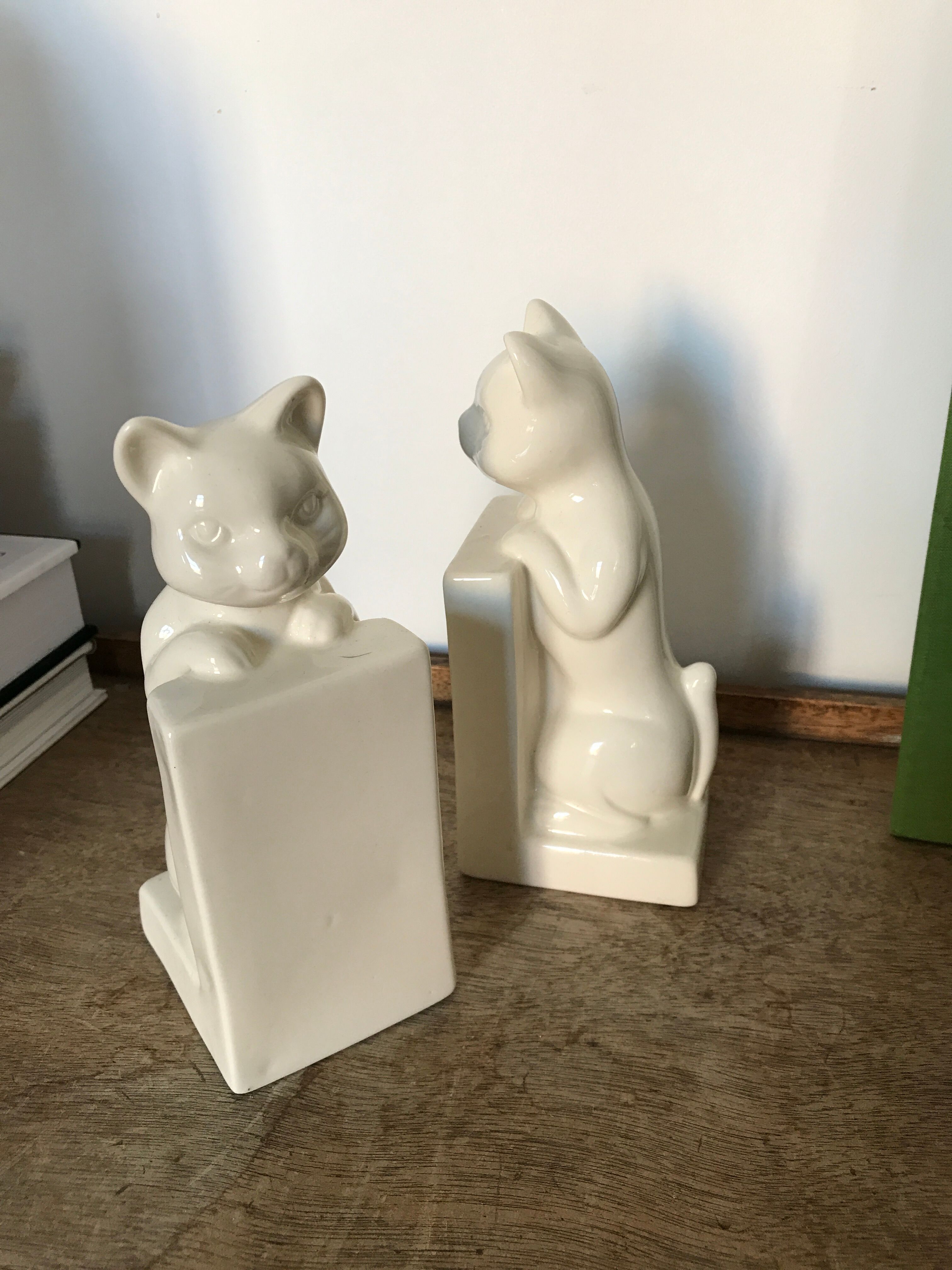 Pair of greenhouses book cat