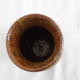 Vase pyrity sandstone