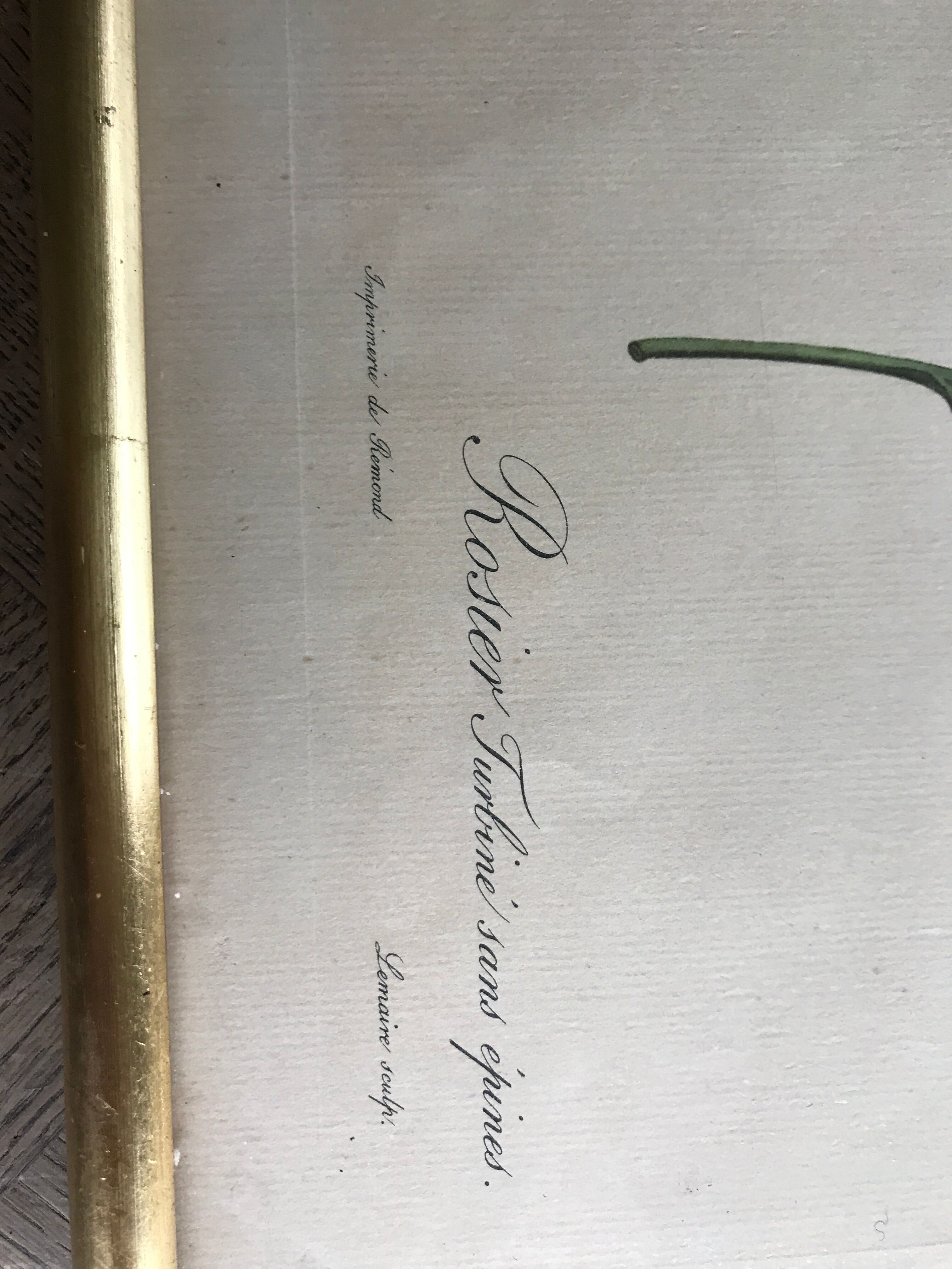 Dreaded Frame and Lithography