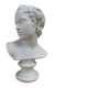 Bust of Eros, cast from the Louvre early 20th century.