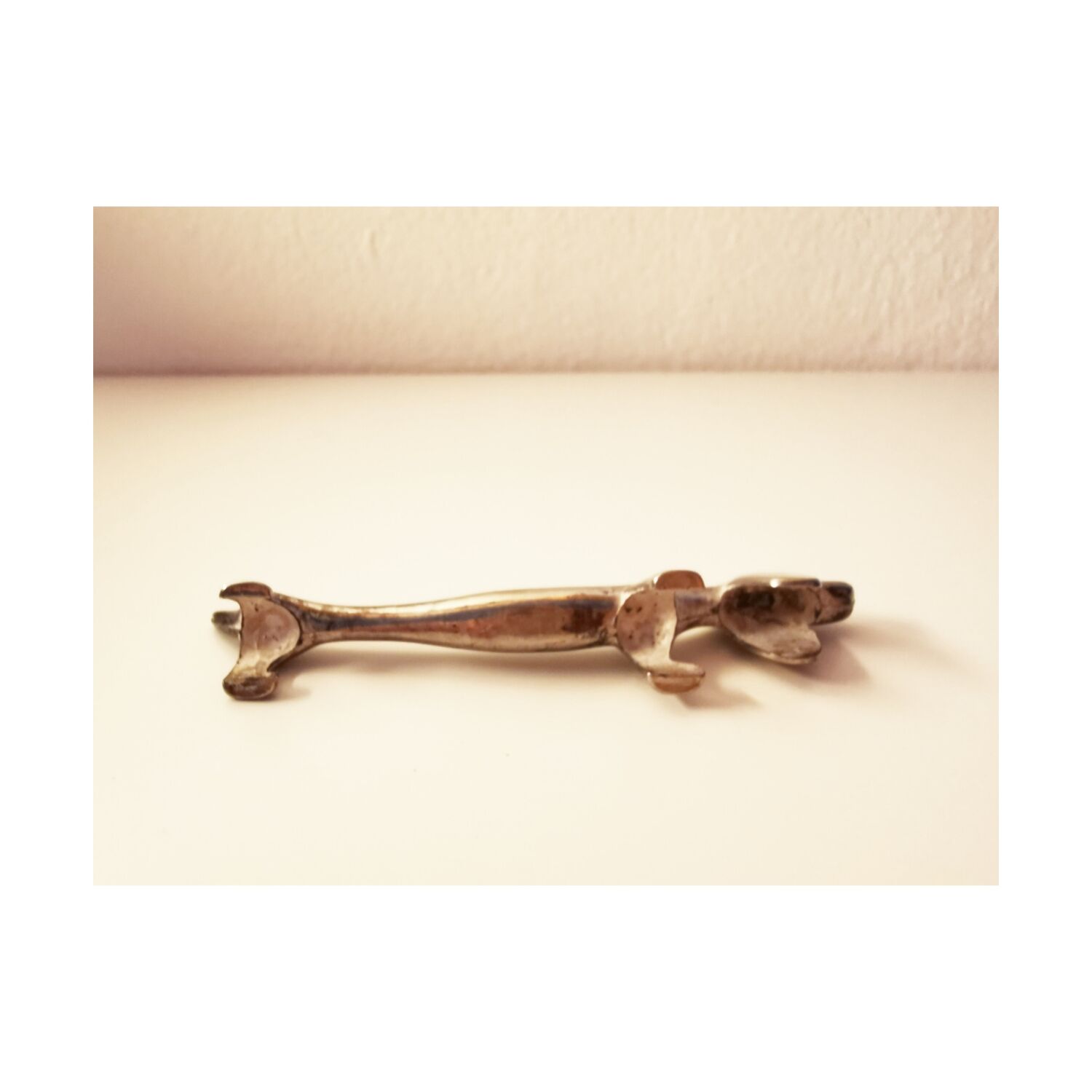 Dachshund covered doors