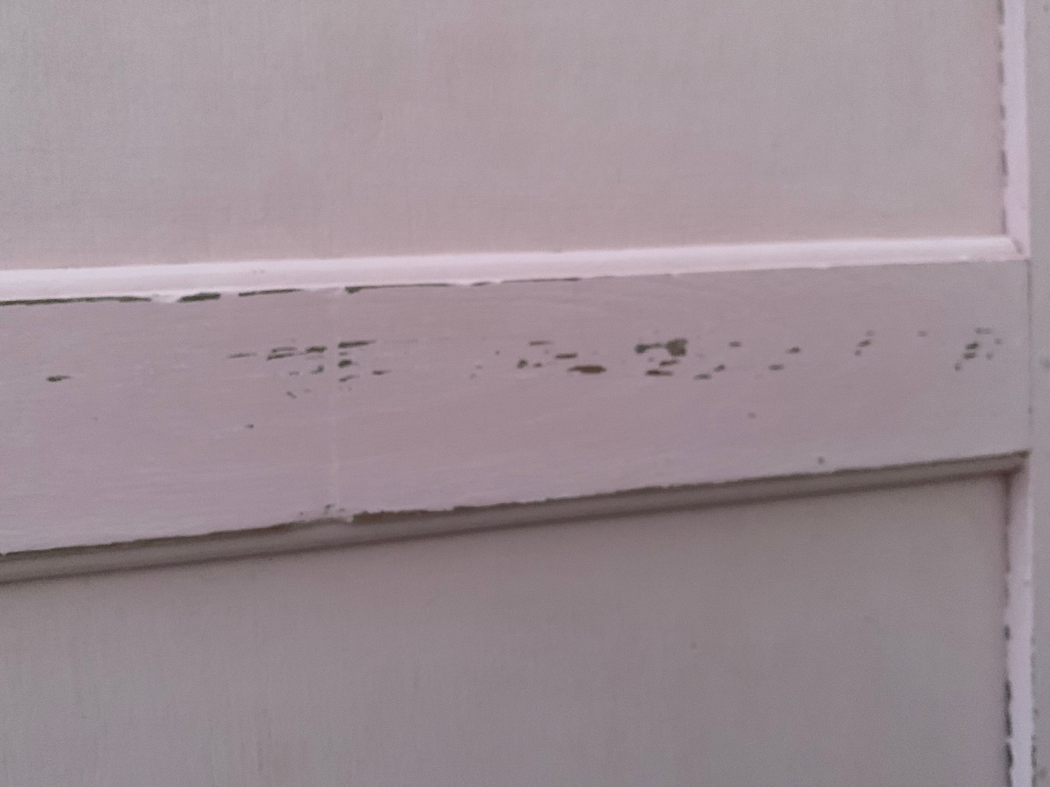 Parisian hotel wardrobe 1930