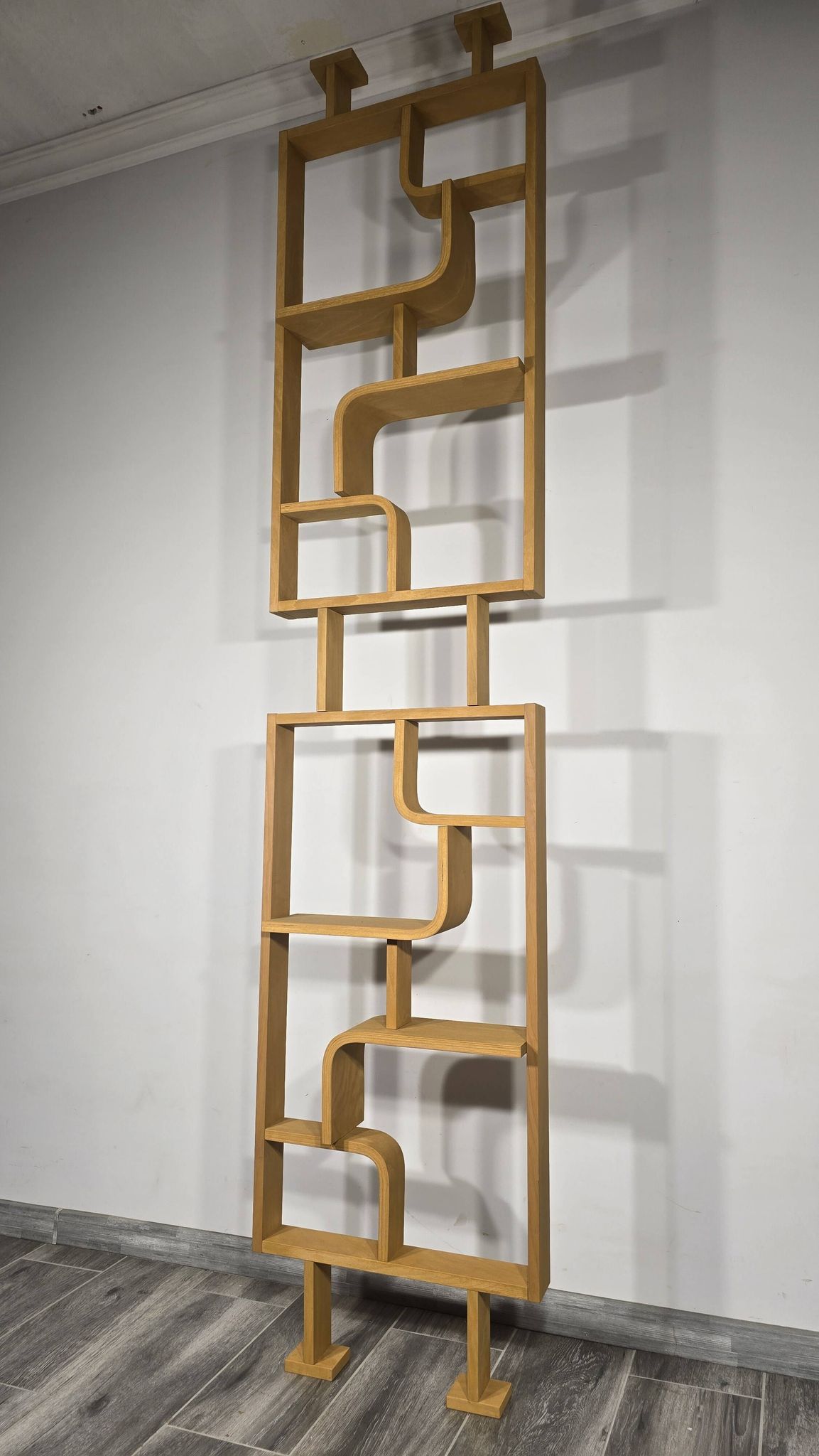 Room Divider by Ludvik Volak for Drevopodnik Holesov, 1950s