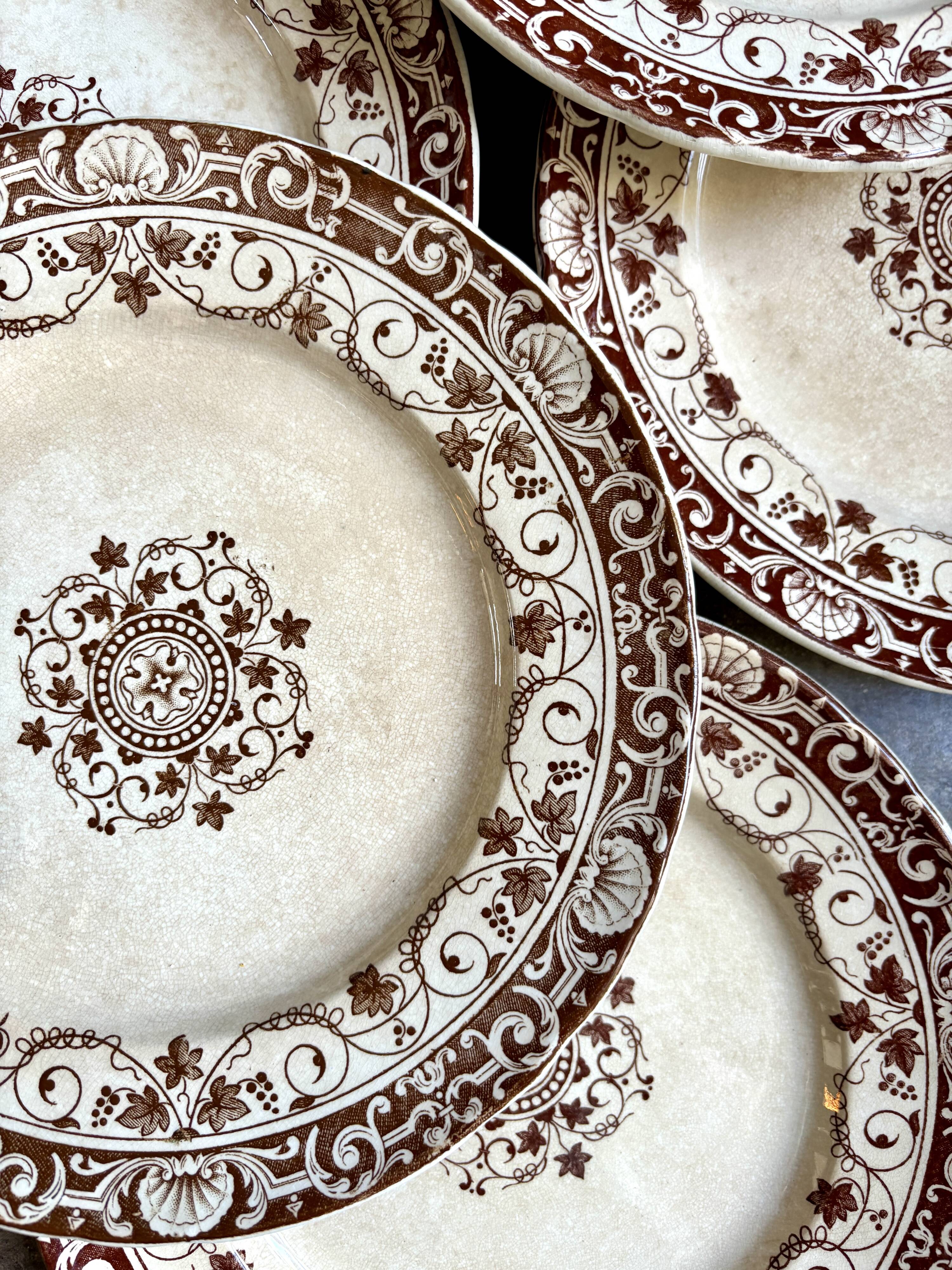 6 Jules Vieillard ironstone dinner plates, "Louis XV" service