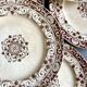 6 Jules Vieillard ironstone dinner plates, "Louis XV" service