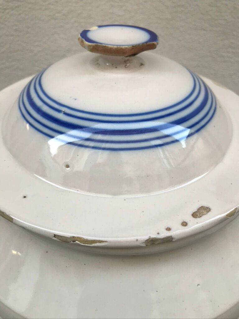 Candied glazed earth early xx