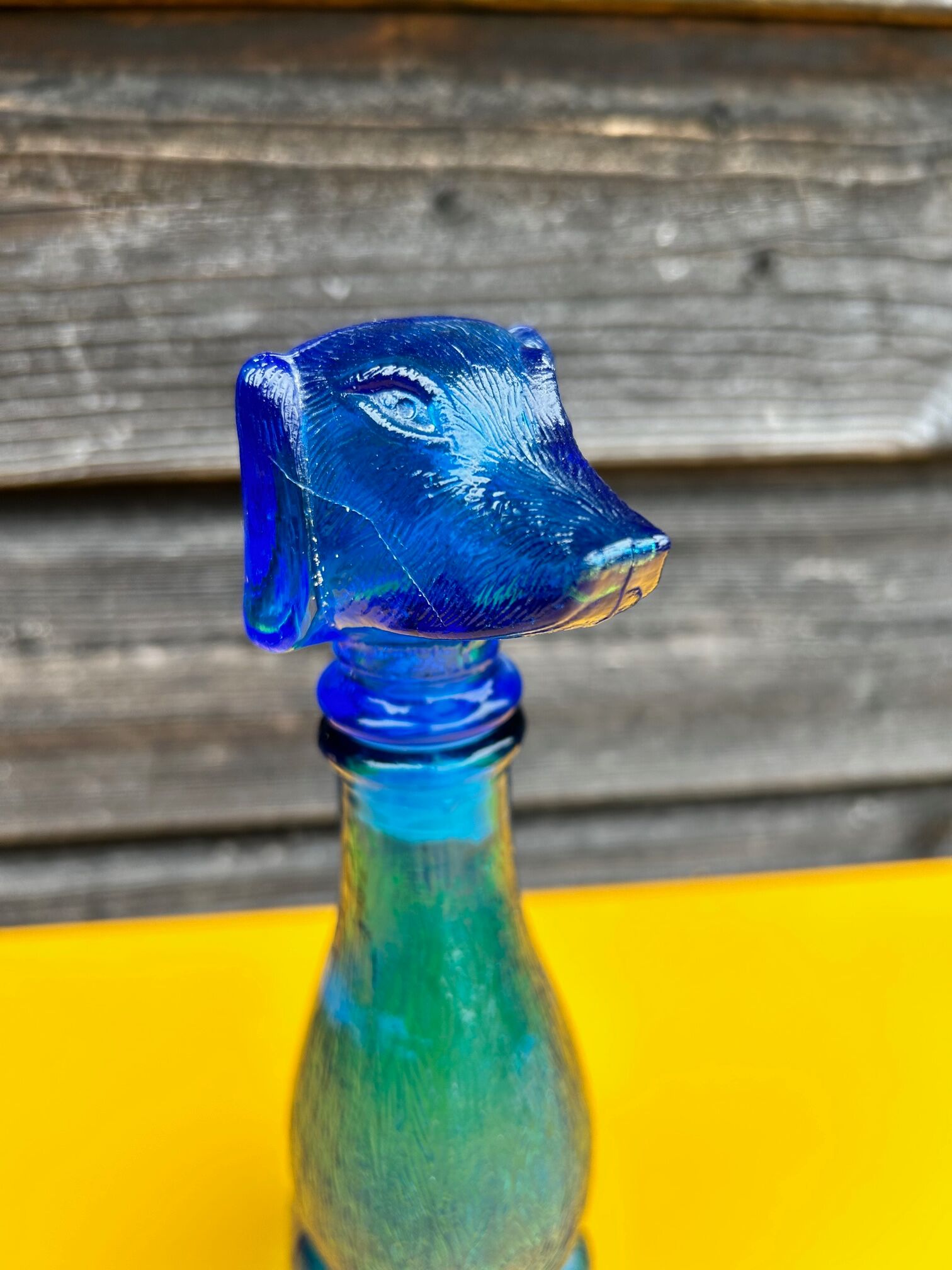 Italian bottle dog polite