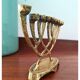 Vintage brass wainberg m8534 israel menora 9 candle holder