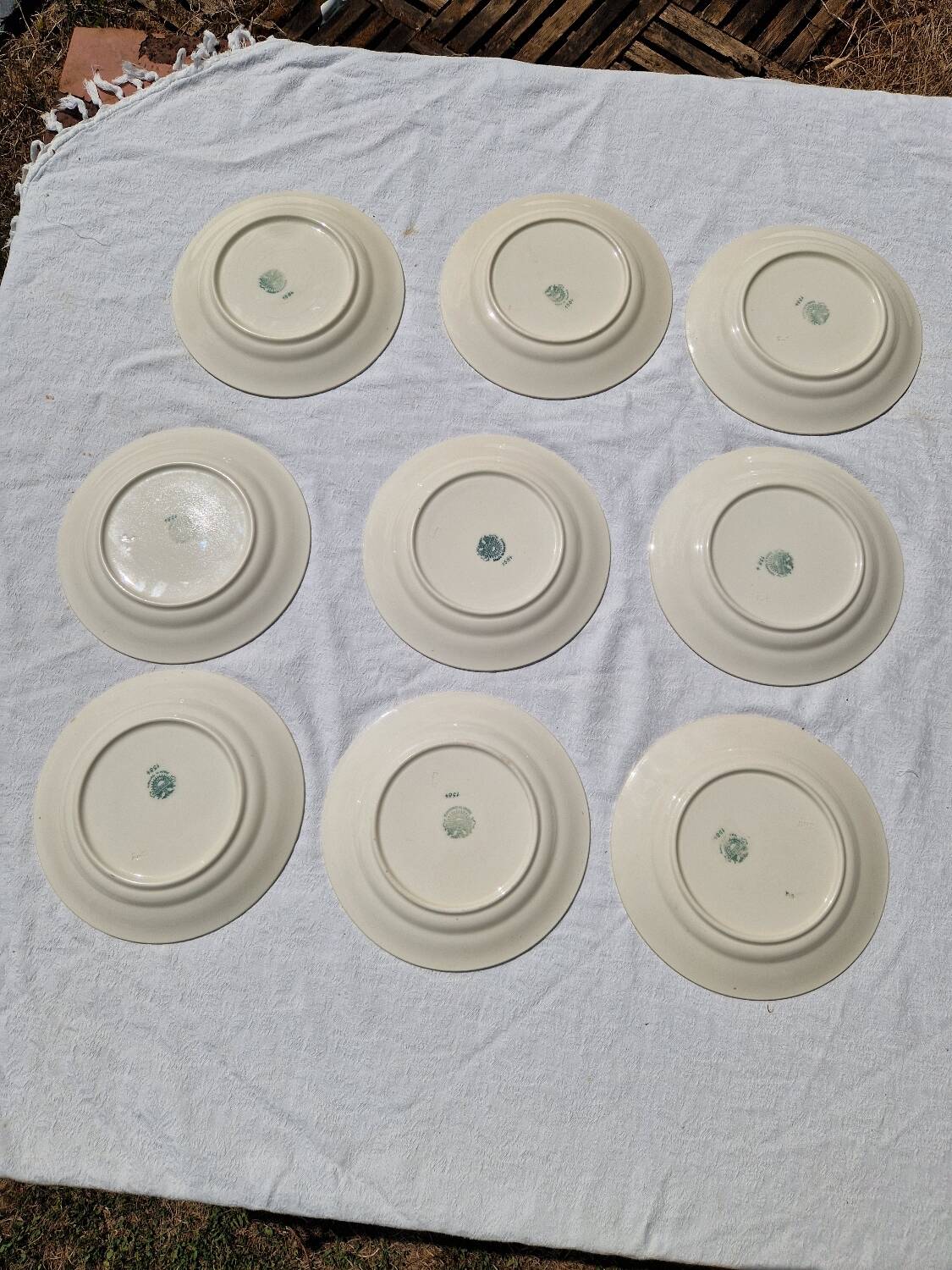 9 villeroy et boch porcelain dinner plates model 1584 25 cm