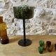 Grande coupe en verre soufflé teinté vert mousse