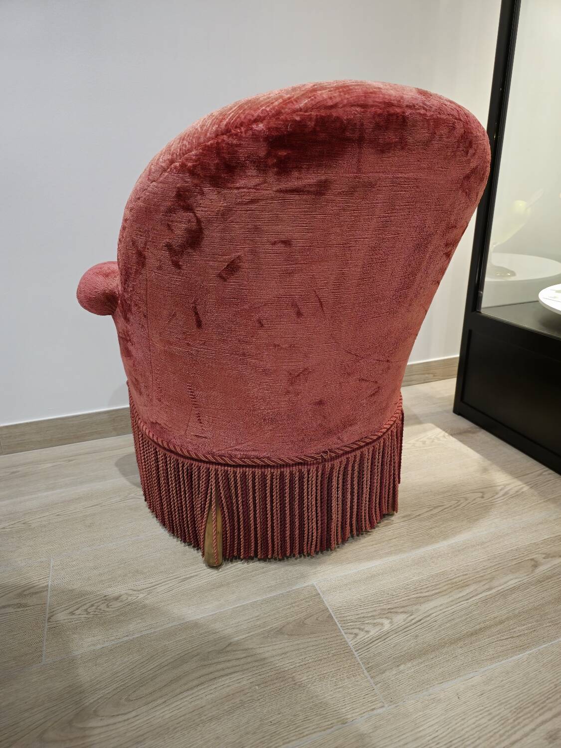 Burgundy velvet toad