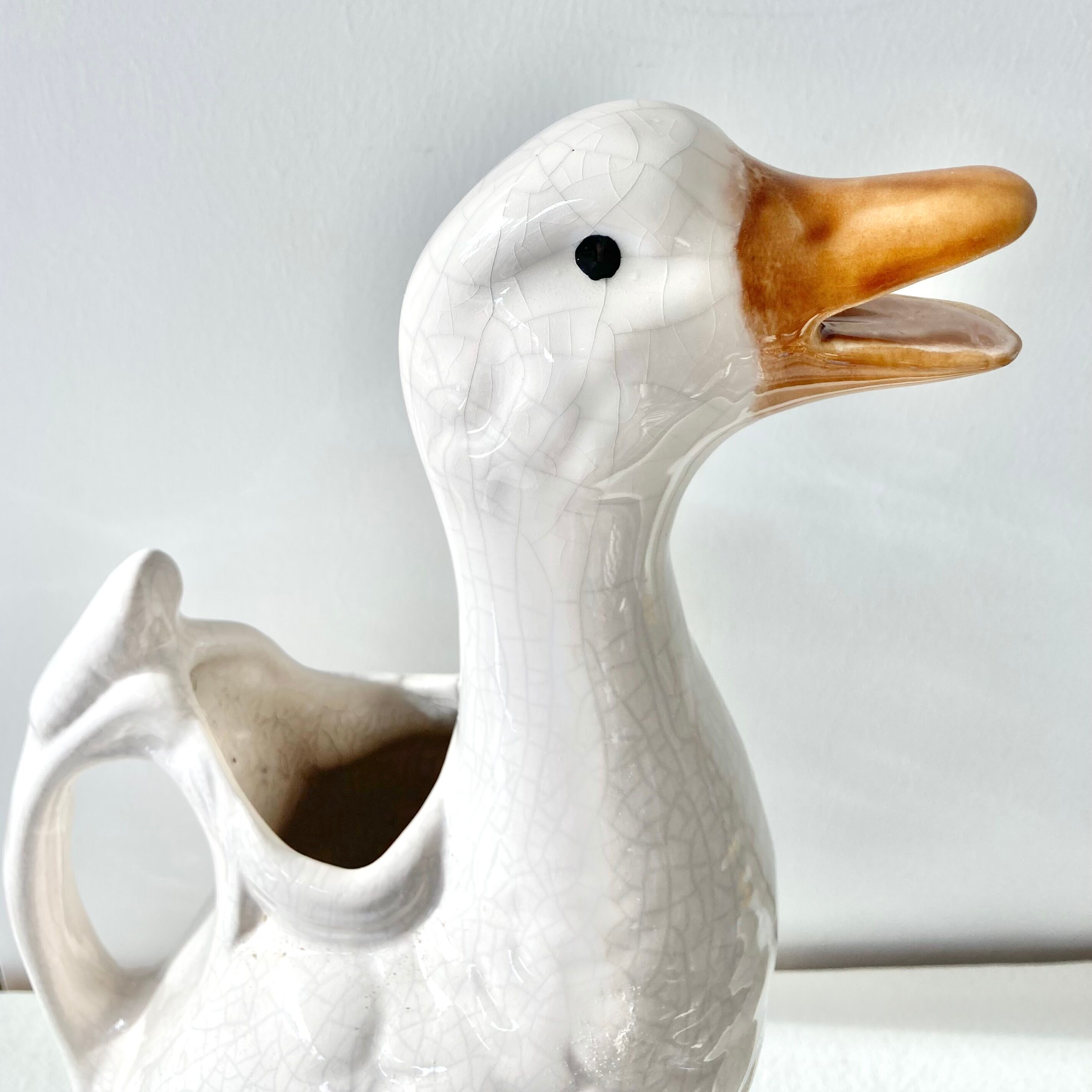 Pitcher duck slurry St Clément