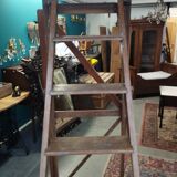 Painter's ladder